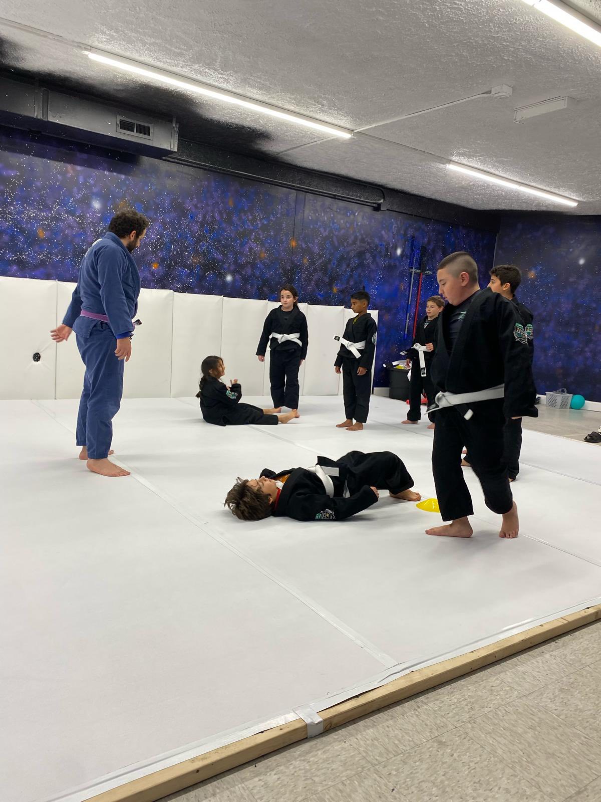 BJJ Class